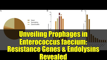 Unveiling Prophages in Enterococcus faecium: Resistance Genes & Endolysins Revealed