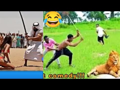 "So Funny, You'll Forget What You Were Doing!" | Part 21 😂😂😂