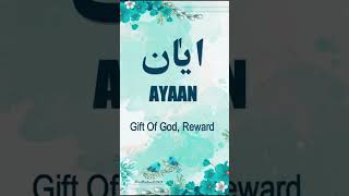 🌹Ayaan🌹 | Name Meaning Status || Urdu e Hind Official |