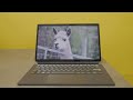 Middle of video