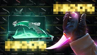Opening the PREMIUM KNIVES CASE on HELLCASE (INSANE OPENING)