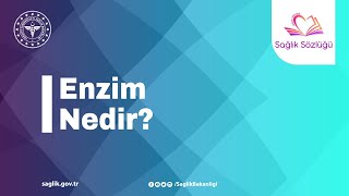 Enzim Nedir? #SağlıkSözlüğü Resimi