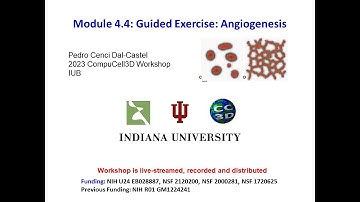 CC3D WS Module 4.4 Guided Modeling Angiogenesis [Pedro Castel] August 4 2023