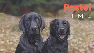 Black Labrador Dogs in Soft Pastel on Velour - Timelapse screenshot 5