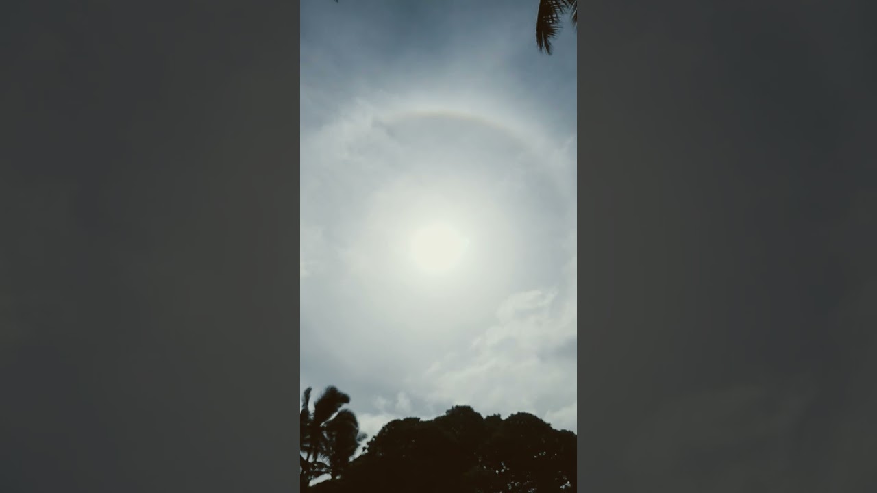 Sun halo. Sunlight is life optimizing information.  