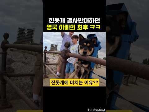 한국 진돗개 절대 안 키운다던 영국인 아빠의 반전 ㅋㅋㅋ