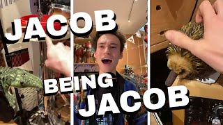 jacob collier being silly for 5 minutes straight