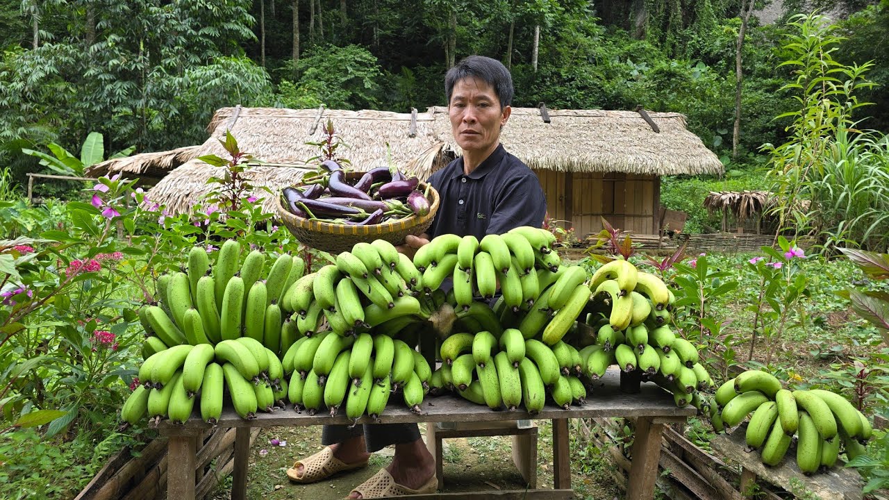 Harvest Bananas & Eggplants to Sell in Village – Collect Firewood for the Farm | Solo Survival