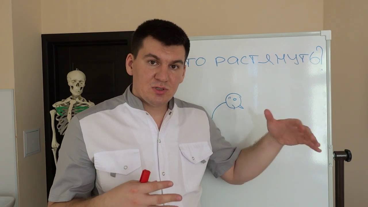 Какие мышцы нельзя растягивать What muscles can not stretch