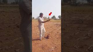 Dowsing Process With Coconut🥥 | #Shorts #Youtubeshorts #Shortsvideo