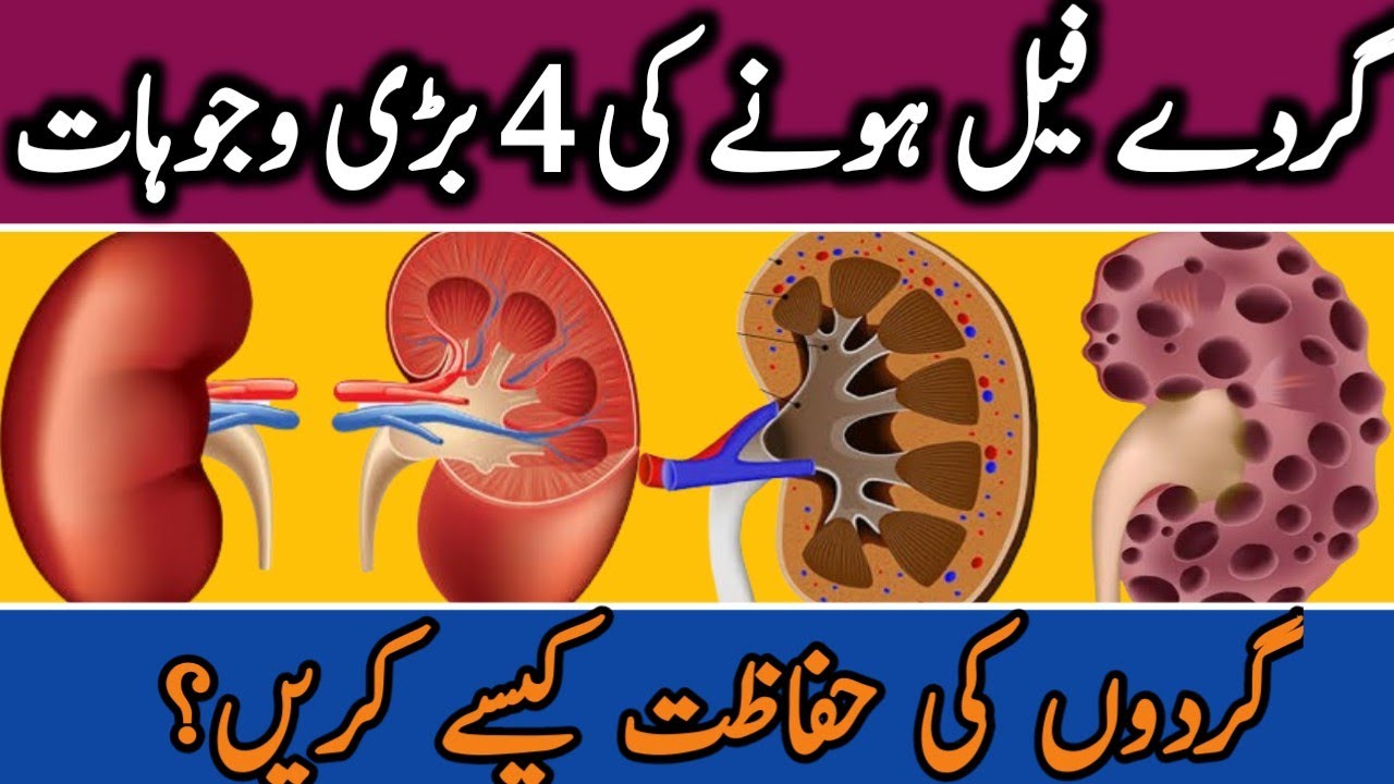 kidney failurekidney fail honey ke wajachronic kidney diseasegurde