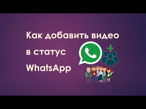 Как добавить видео в статус WhatsApp