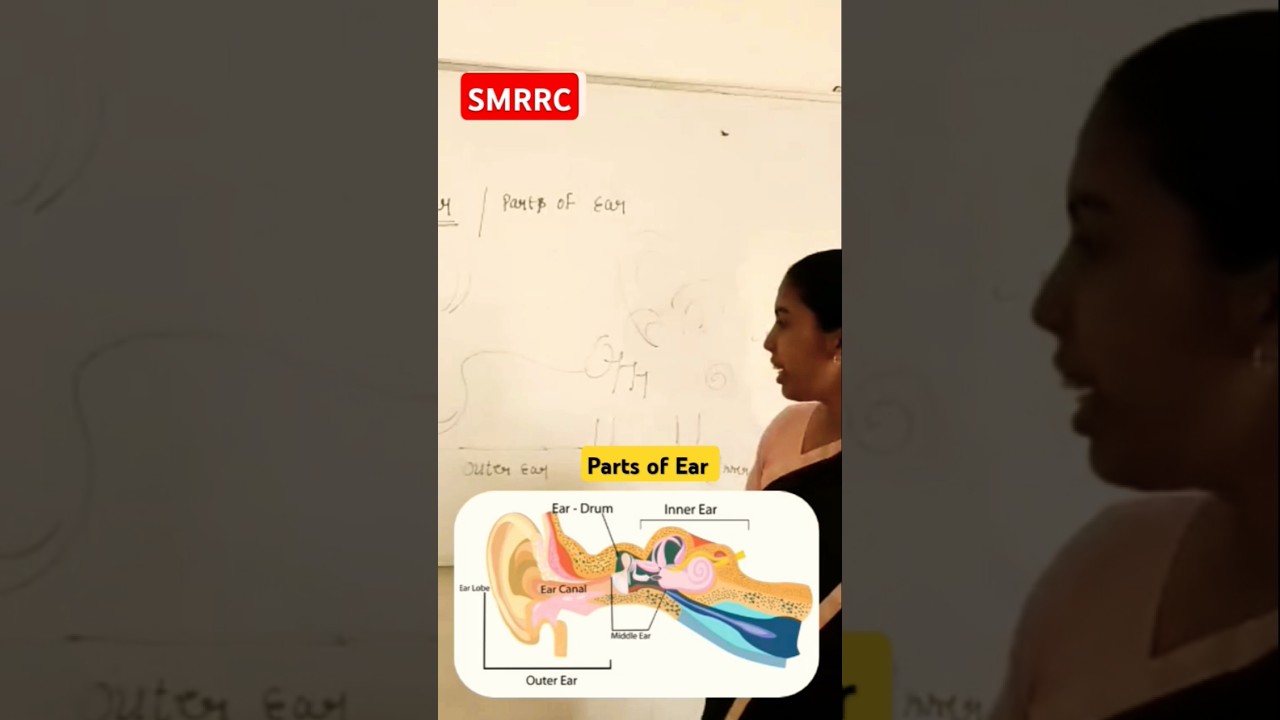 Rci In Ear Ear Structure: Three Parts of Ear #ears #hearingimpairment #smrrc #rci ...