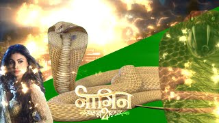 Shivangi - The Golden Naagin। Nagin 2 Snake Animations PART 1 PART 2 COMING ON STUDIOS INPHENICS
