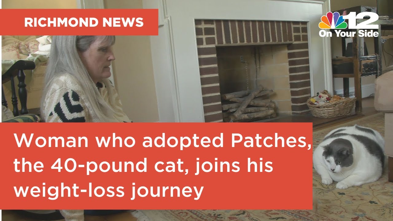 Woman who adopted Patches the 40pound cat joining his weightloss