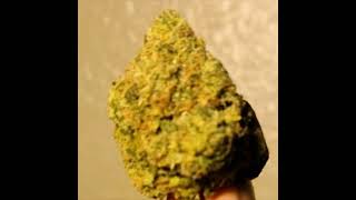 Apex- One Puff