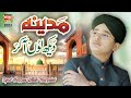 Syed Hassan Ullah Hussaini | Madina Dekhlun Aakar | New Naat 2023 | Official Video | Heera Gold