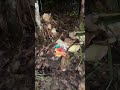 EPISOD 2 ((MISTERI KUKU PONTIANAK KOTA SAMARAHAN SARAWAK)) PARANORMAL BLACK SABAHAN69 PART 1/3