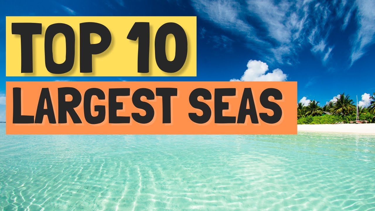 Top 10 Largest Seas In The World YouTube top-10-largest-seas-in-the-world-youtube