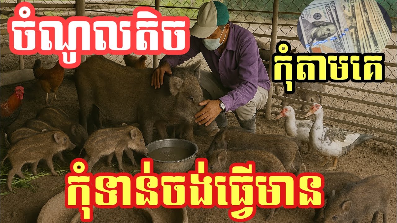 ចំណូលនៅតិច កុំទាន់ចង់ឡូយធ្វើដូចខ្លួនឯងអ្នកមាន