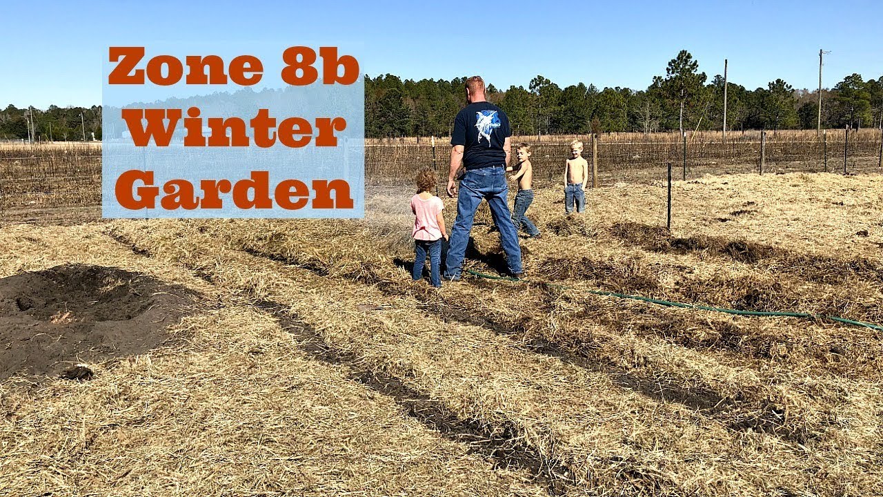  Zone 8B Winter Garden What We re Planting In January 2018 YouTube