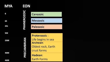#geologicaltimescale #geology #net #gate #jam ||  Geological time scale with important event ||