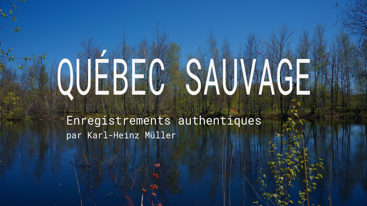 Paysages sonores :: Québec Sauvage :: 2026-02-22