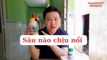 Xịt loại thuốc này sâu đục thân nào sống nổi, rẽ tiền mà hiệu quả