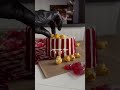 Popcorn Cake 🍿✨ | Unique Cake Decorating Idea for Movie Lovers #cakedecorating