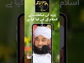یزید کی سلطنت نے اسلام کے لیے کیا کیا ہے ؟ #yazeed #hakomat