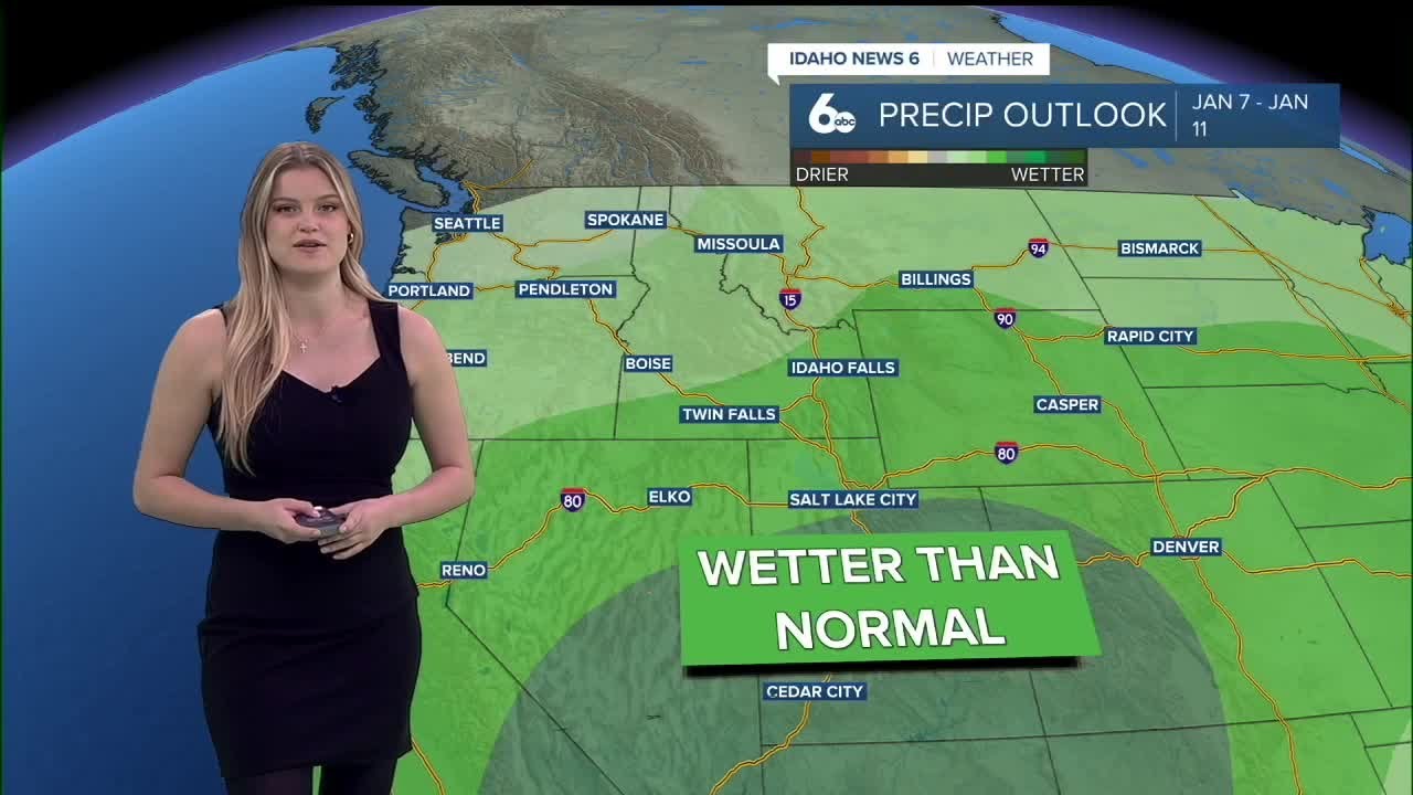 Mild, yet foggy, conditions to start off the new year