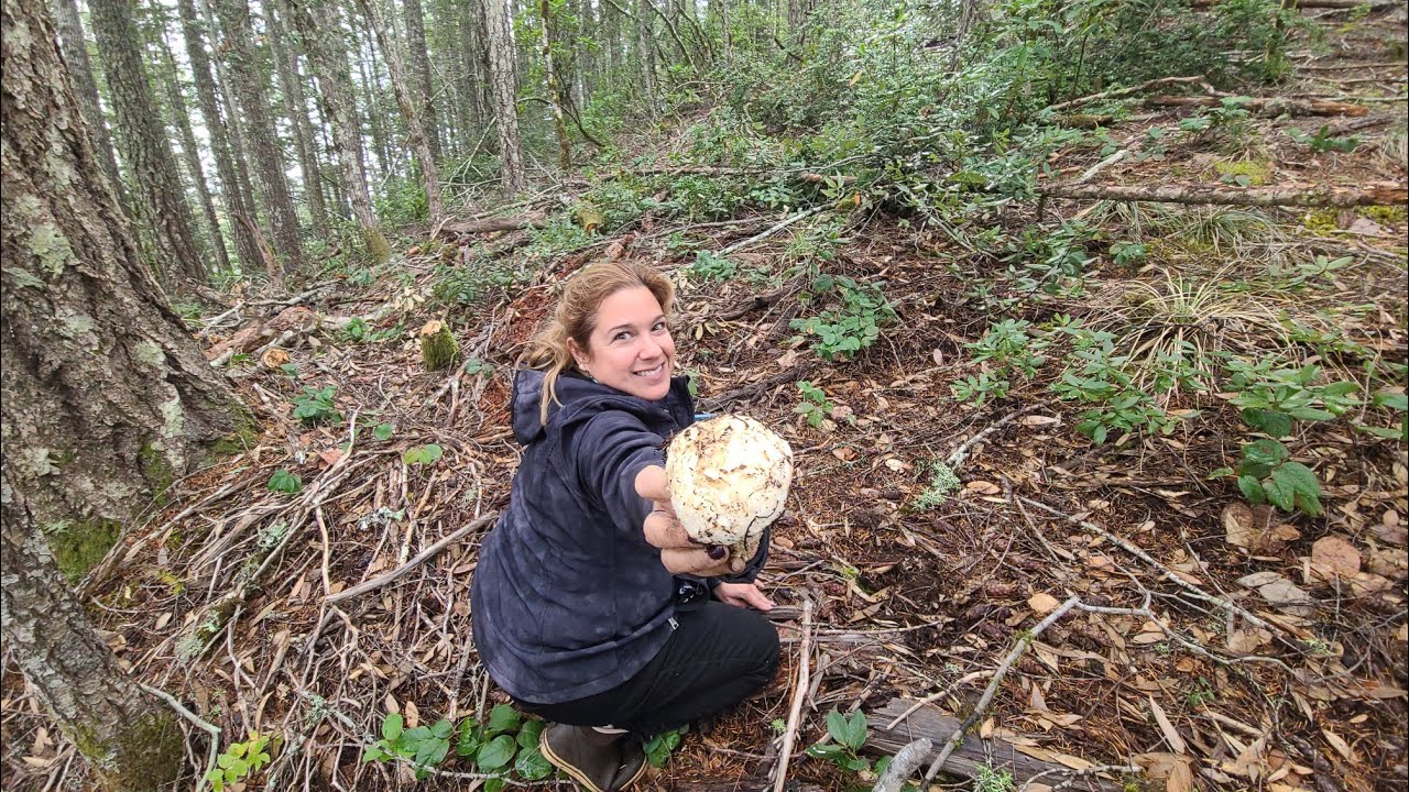 Matsutake 2023! With Pops and Kasey