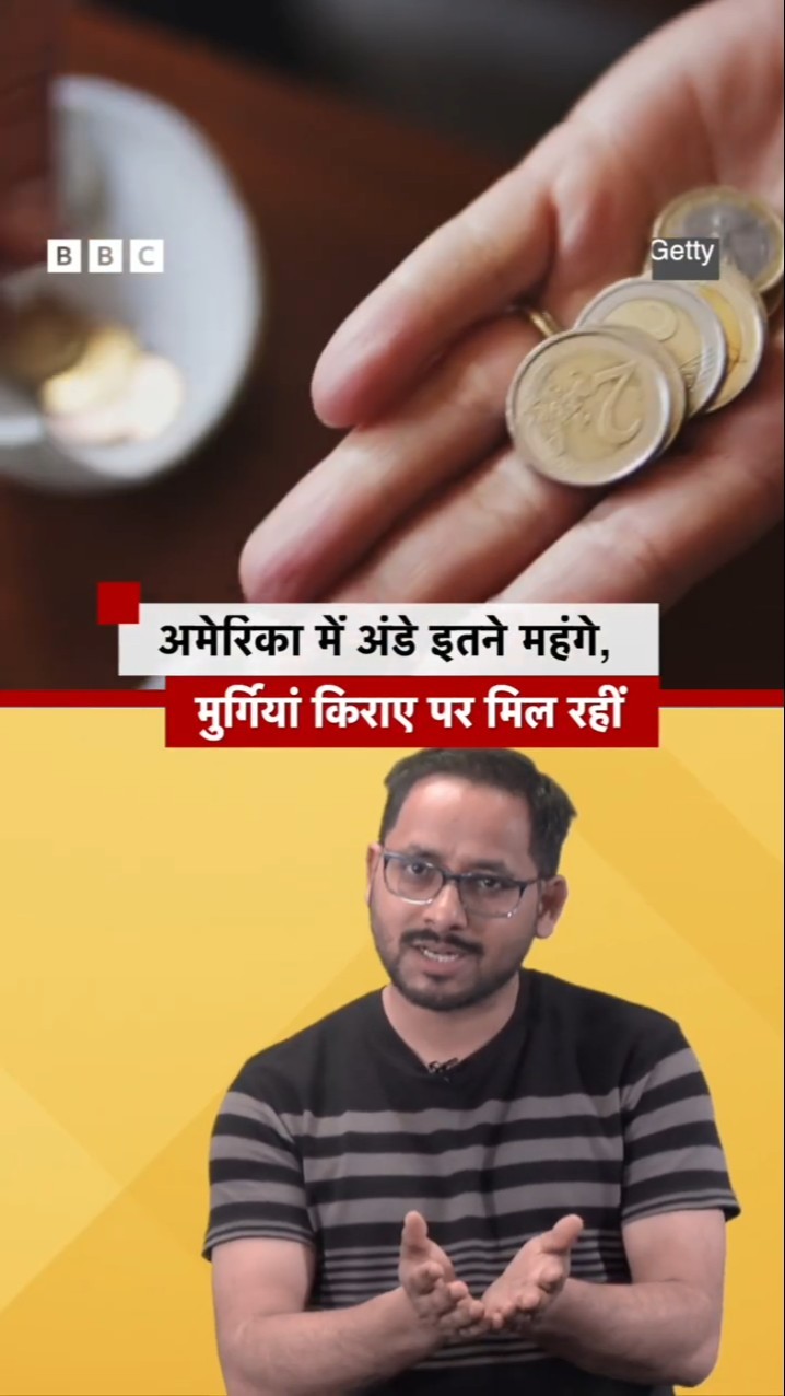 America में Eggs इतने महंगे हो गए कि मुर्गियां किराए पर मिलने लगीं #shorts #eggs #usa