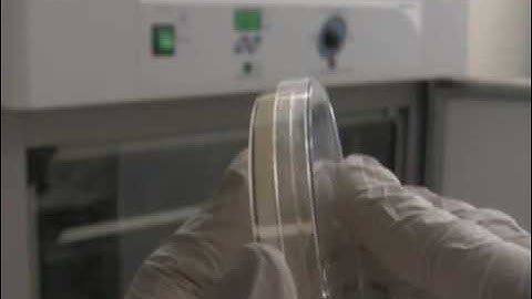 Simply Cloning - Supplement 1 - Troubleshooting