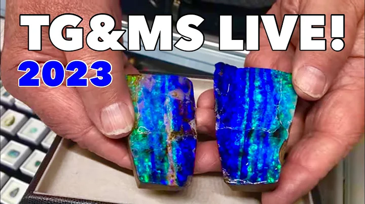 LIVE Tucson Gem & Mineral Show 2023 Main Event!