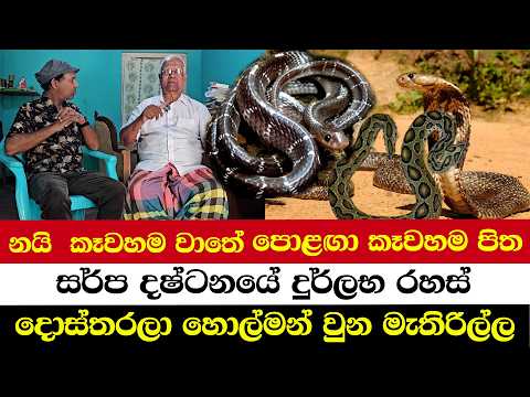 නයි  කෑවහම වාතේ පොළඟා කෑවහම පිත | සර්ප දෂ්ටනයේ දුර්ලභ රහස් | දොස්තරලා හොල්මන් වුන මැතිරිල්ල