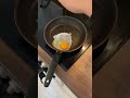 хана собаки 🤨