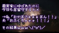 Gingerale802 Youtube Gingerale802 Youtube