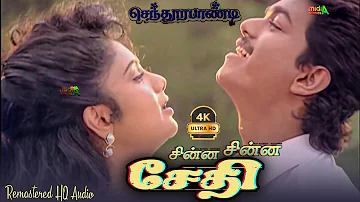 சின்ன சின்ன சேதி Chinna Chinna Saedhi Song HD Video Song #4k Senthoora Pandi Remastered  Song