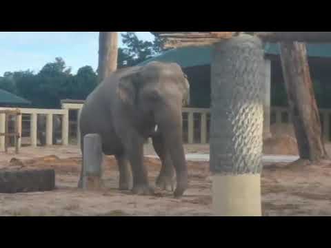 Morning With Kavaan New Life Of Kavaan DAY 2 Cambodia Kavaan 