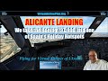 [MSFS2020] | ALICANTE LANDING | A FLIGHT ADVENTURE - BEES AIRLINES  | NEW SCENERY BY PILOTS FSG