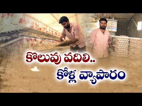 వైట్ కాలర్ జాబ్ వదిలి.. పౌల్ట్రీ ఫామ్ యజమానిగా..! రమణారెడ్డి సక్సెస్ స్టోరీ