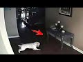 A dog stared at the wall for a couple days, then his owner installed a hidden camera