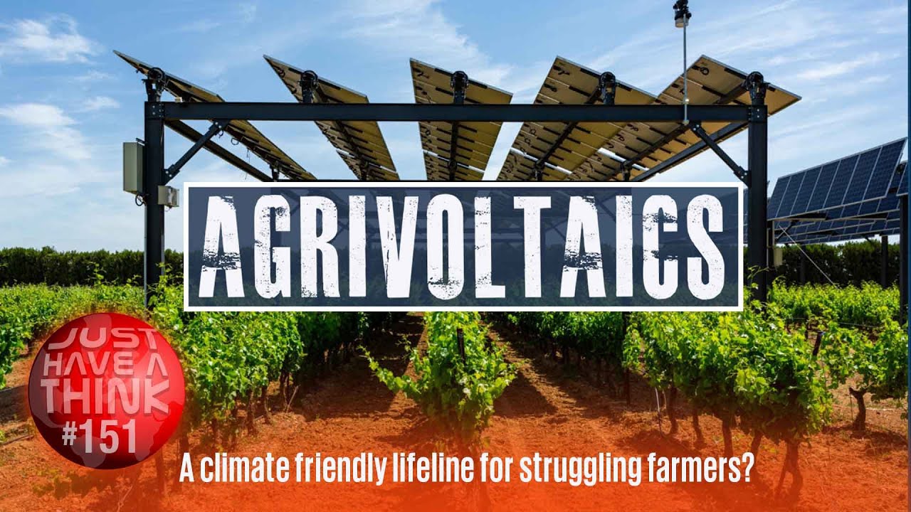 Agrivoltaics.  An economic lifeline for American farmers? - YouTube