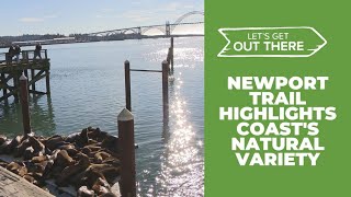 A hidden nature trail in Newport: Ocean to Bay Trail offers peace and beauty
