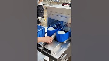 Fish fillet machine for snakehead