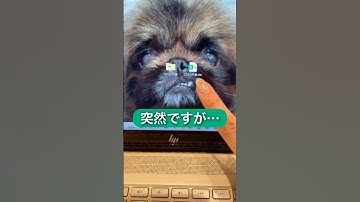 ファイル名やフォルダ名を変更したい時#エクセル #エクセル初心者 #エクセル学習 #excel #パソコンスキル #パソコン#パソコン教室 #パソコン初心者 #ショートカットキー