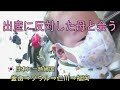 生後2か月の赤ちゃんと国際線。日本に一時帰国しました。【韓国在住・日韓夫婦・한일부부】