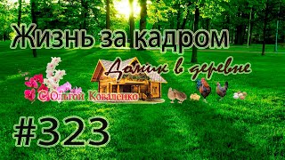 #323 ЖИЗНЬ ЗА КАДРОМ !