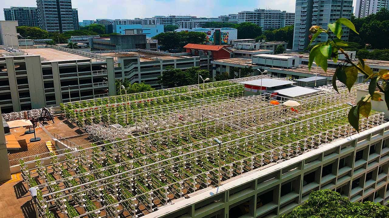  New Update  Смелый план Сингапура по созданию ферм будущего